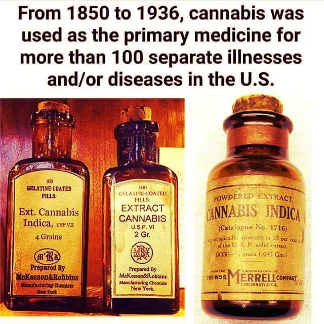 cannibis medicine